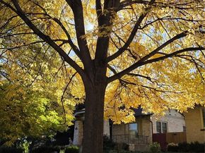 601 Milwaukee Street, Denver CO 80206