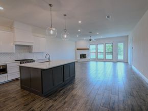 7231  VelvetLeaf  , Benbrook Texas 76126