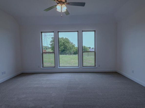 7231  VelvetLeaf  , Benbrook Texas 76126