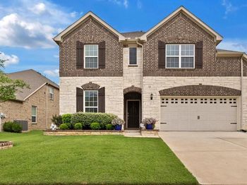 820  Basket Willow  