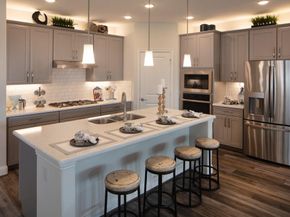 415  Chatham Drive , Oak Point Texas 75068