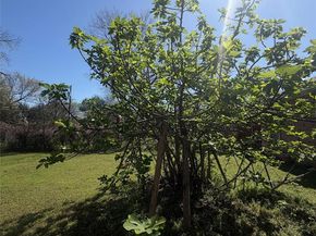 2420  Seevers Avenue , Dallas Texas 75216