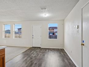 3037  Paint Brush Place , Lancaster Texas 75134
