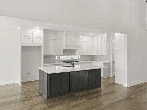 13709  Benimodo Drive , Little Elm Texas 75068