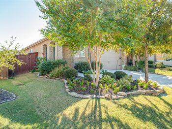 3520  Tulip Drive 