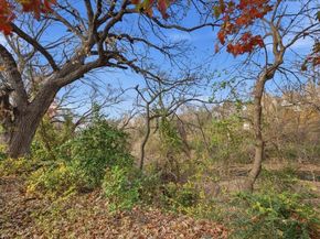 5642  Cedar Creek Drive , Benbrook Texas 76109