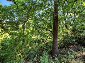 5642  Cedar Creek Drive , Benbrook Texas 76109