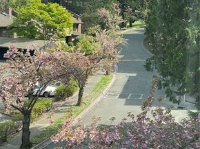 10821 Glen Acres Drive S C, Seattle WA 98168