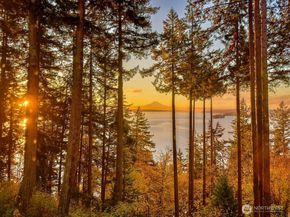 11121 NE Brownell Lane, Bainbridge Island WA 98110