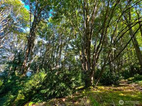 1800 Taylor Avenue N 406, Seattle WA 98109