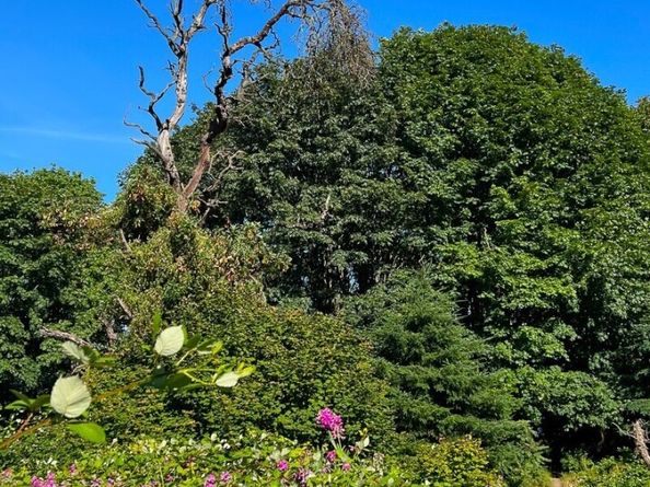 1800 Taylor Avenue N 406, Seattle WA 98109