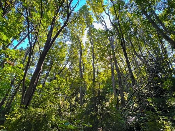 1800 Taylor Avenue N 406, Seattle WA 98109