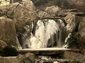 3007 S Court Street, Seattle WA 98144