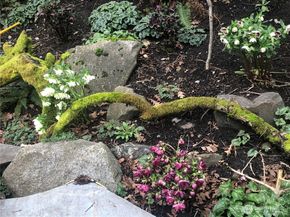 3007 S Court Street, Seattle WA 98144