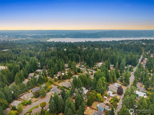 16217 NE 29th Street, Bellevue WA 98008