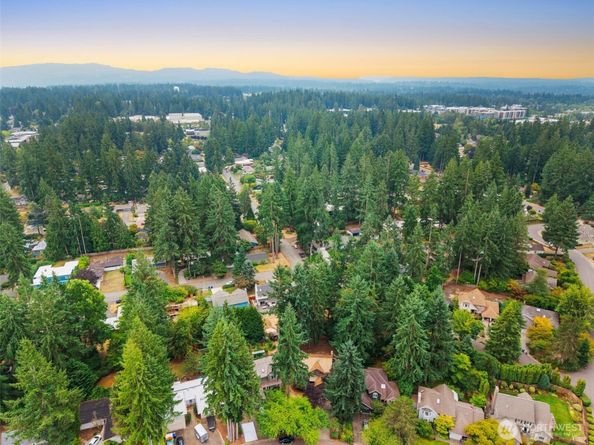 16217 NE 29th Street, Bellevue WA 98008