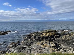 110 174th Place NE, Bellevue WA 98008