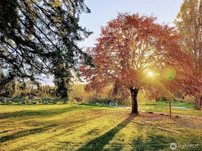 110 174th Place NE, Bellevue WA 98008