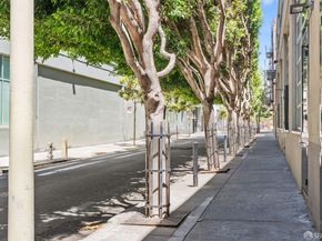 245 5th Street 103, San Francisco CA 94103