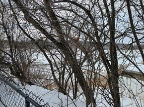 187 Hamilton St, Saugus MA 01906