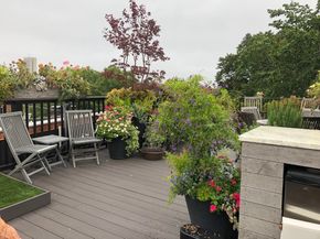 69 Rutland St 3, Boston MA 02118