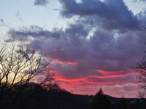 43 Palmer Rd, Newton MA 02468