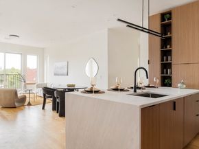 58 Kent Street 404, Brookline MA 02445
