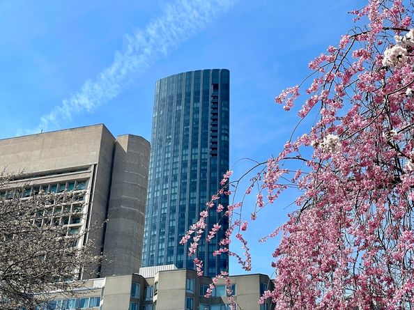 1 Dalton St 3108, Boston MA 02115
