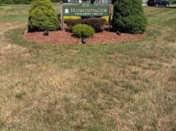 1818 Main St 316, Holden MA 01522