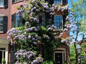 22 Louisburg Square, Boston MA 02108
