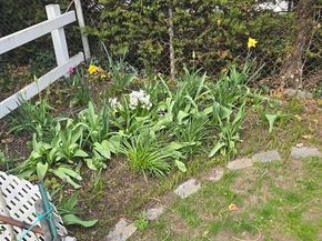 55 Adams, Everett MA 02149