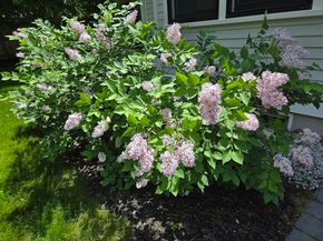 135 Williams Rd, Concord MA 01742