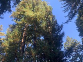 191 High Street, Brookdale CA 95007