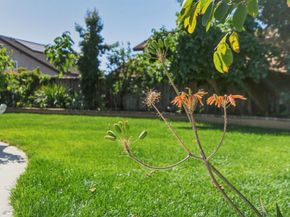 2859 Broken Oak Court, San Jose CA 95148