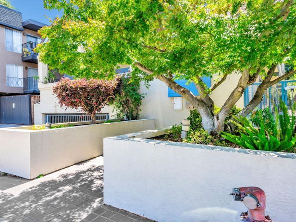 656 Cedar Street 3, San Carlos CA 94070