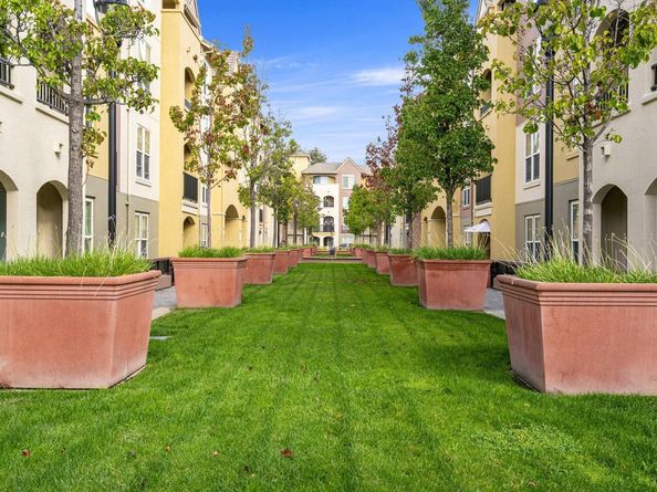 1550 Technology Drive 4090, San Jose CA 95110