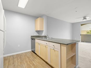 1550 Technology Drive