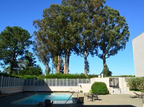 360 Vallejo Drive 105, Millbrae CA 94030