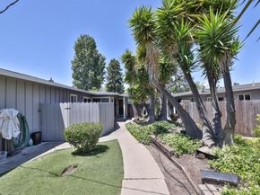 1005 Jones Court, Redwood City CA 94063