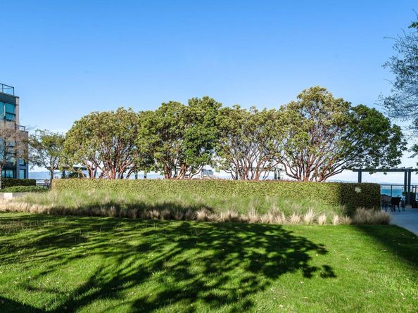 330 Mission Bay Boulevard 605, San Francisco CA 94158