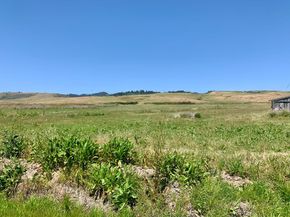 2 3rd Avenue, Davenport CA 95017