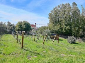 17035 Bohlman Road, Saratoga CA 95070