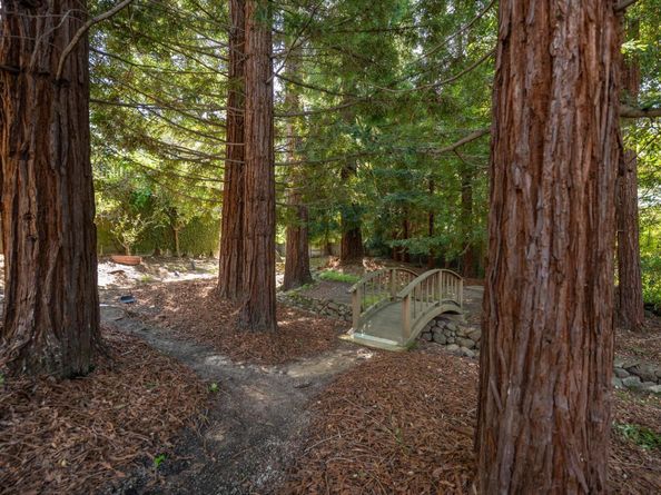 1162 Barroilhet Drive, Hillsborough CA 94010