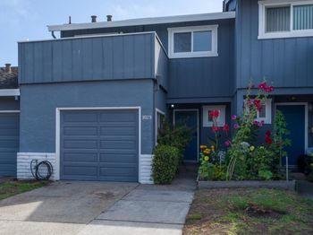 1029 Suzanne Court