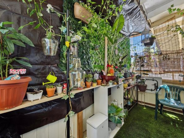 La Pala, San Jose CA 95127