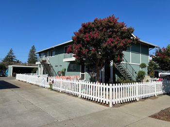 203 Wilton Drive