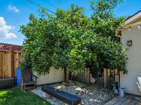 650 Ardis Avenue, San Jose CA 95117
