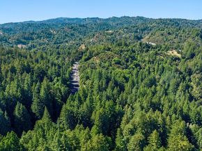 125 Carl Drive, Scotts Valley CA 95066