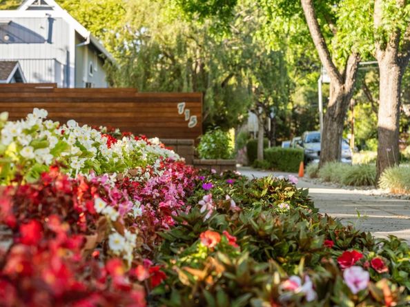 251 Middlefield Road, Palo Alto CA 94301