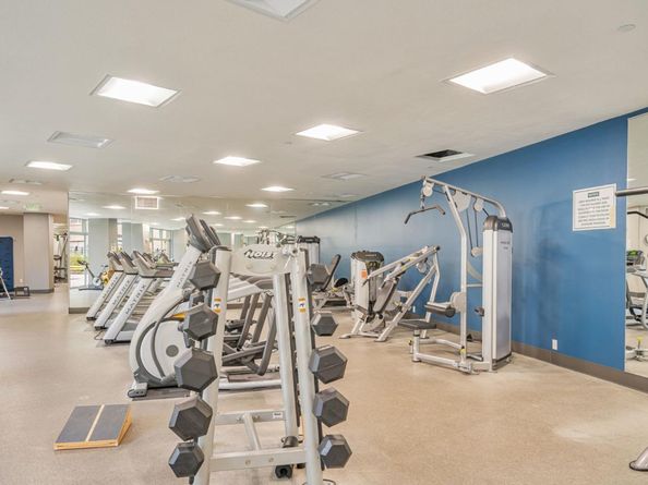 144 S. 3rd 439, San Jose CA 95112